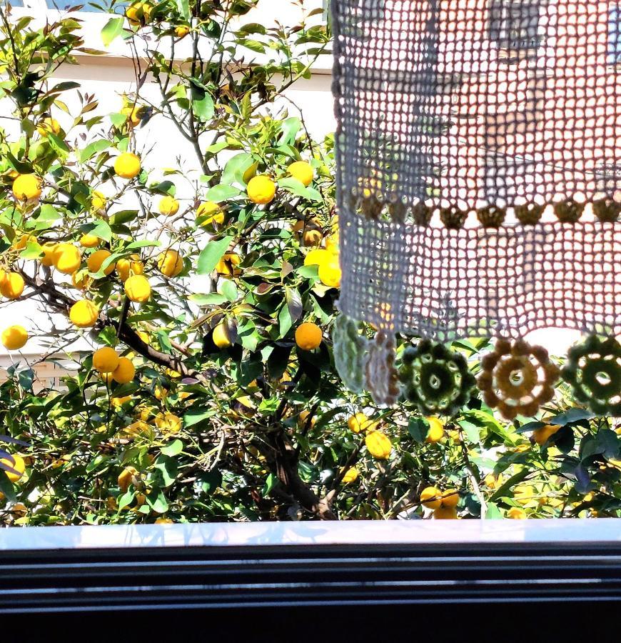 Anna'S Beautiful Apartment Chrissi Akti Chania Exterior foto